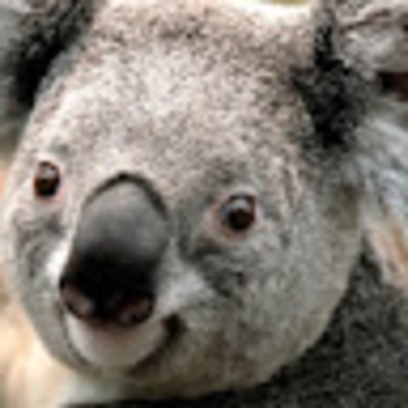 Meet your Posher, Noreen - Picture 1 of 1